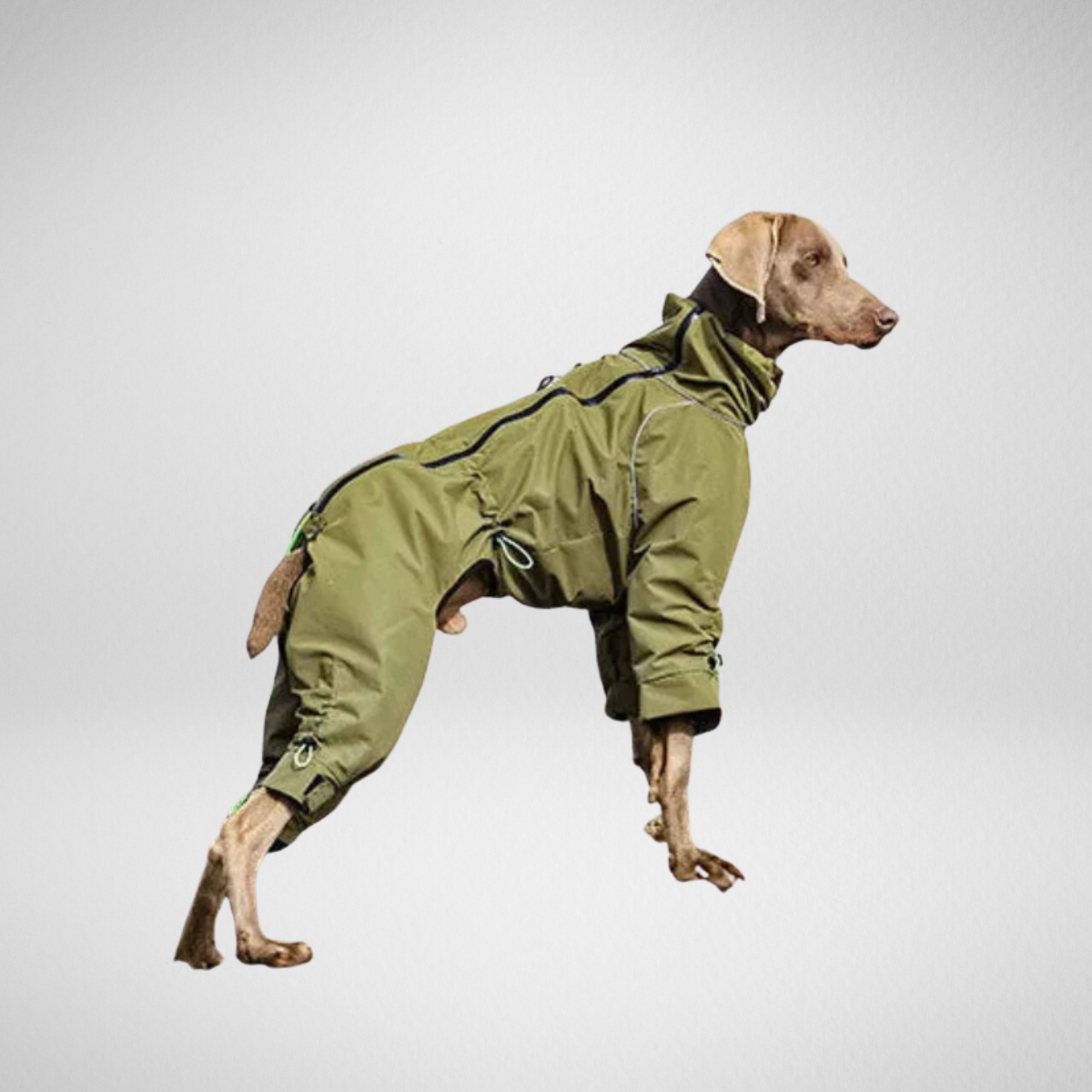 Waterproof Reflective 4-Leg Dog Jacket