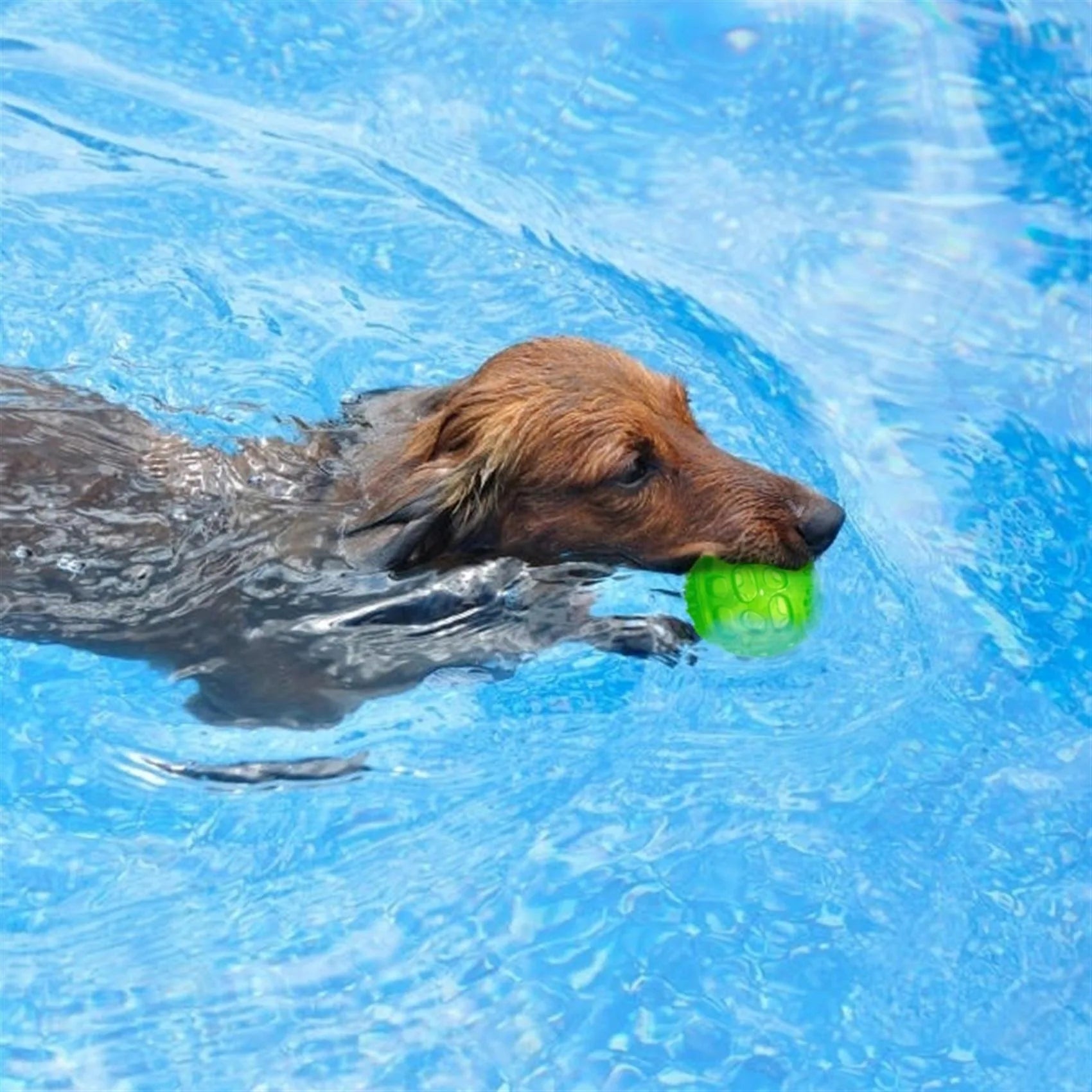 Waterproof Squeaky Dog Ball