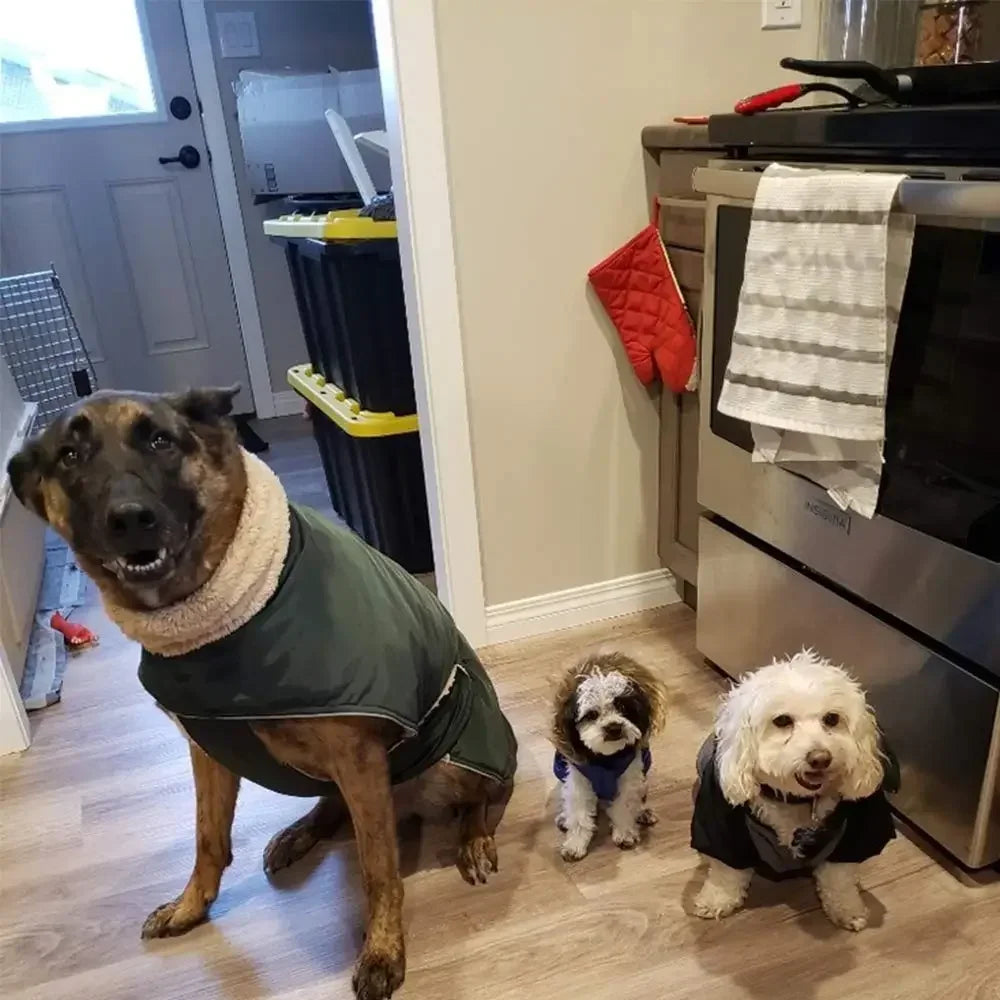 Waterproof Warm Dog Vest for Large Breeds