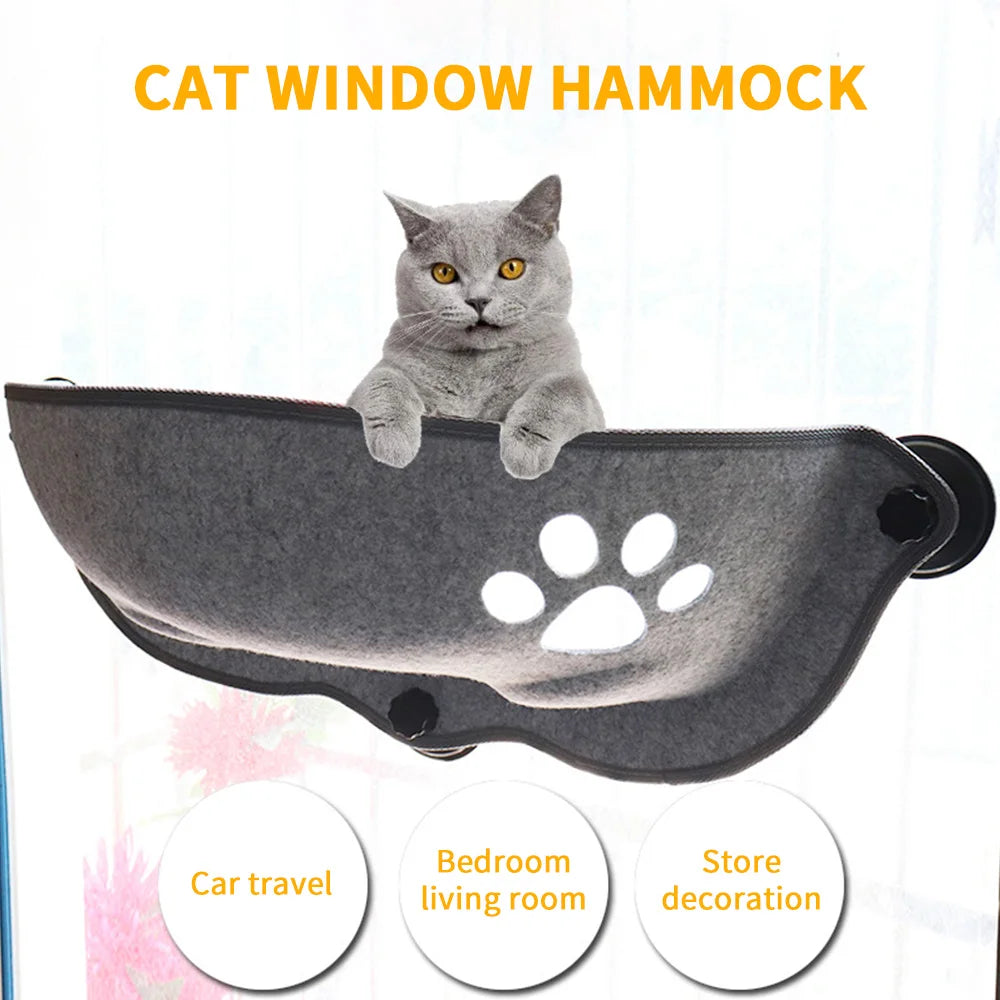 Window Grey Cat Hammock