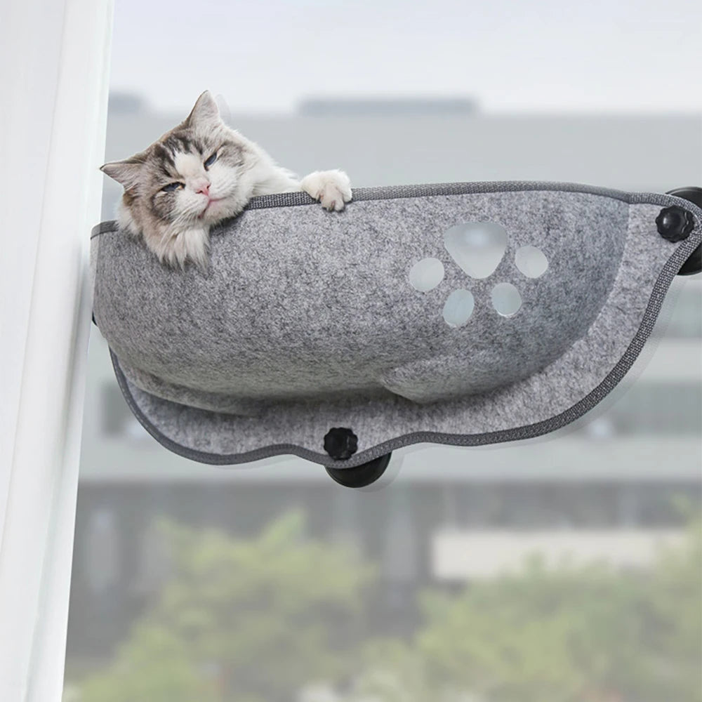 Window Grey Cat Hammock