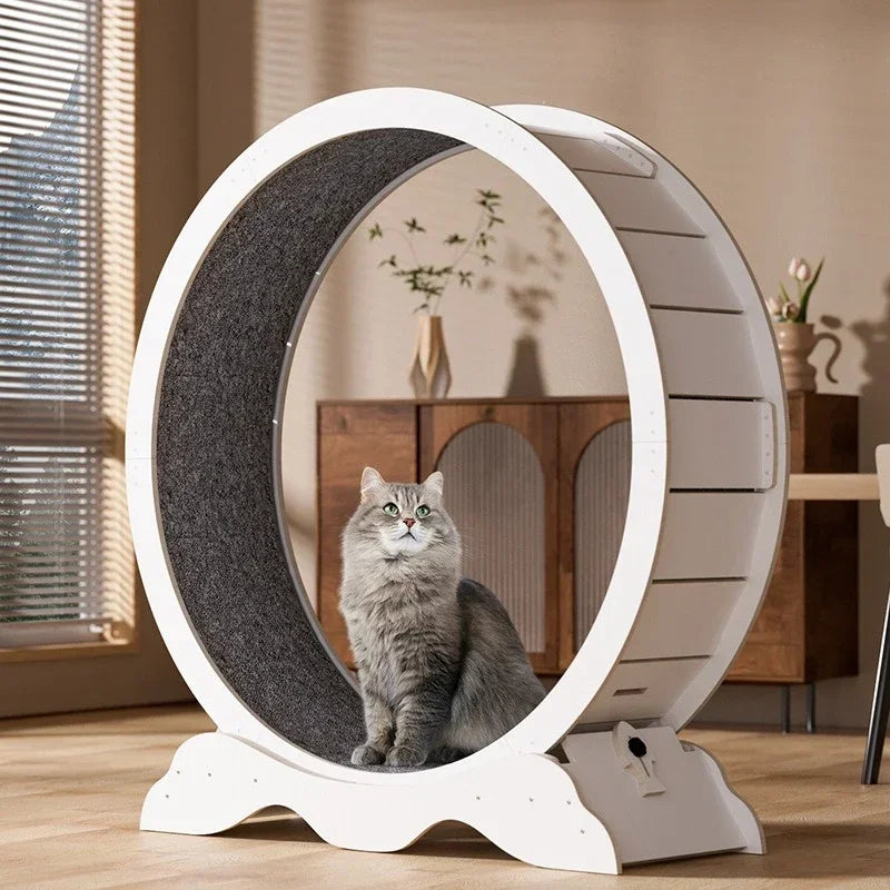 XL Wooden Cat Treadmill Exercise Roller