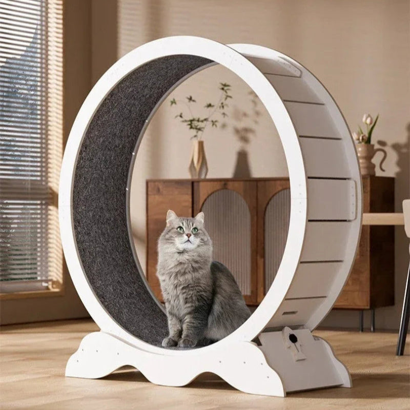 XL Wooden Cat Treadmill Exercise Roller