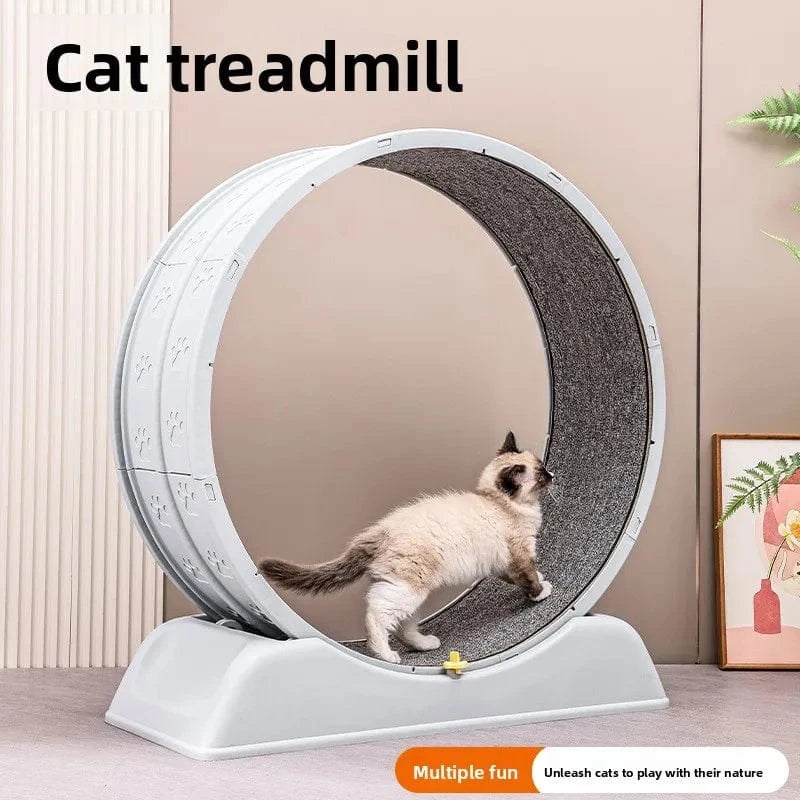 TechnuPet Cat Toys Cat Treadmill