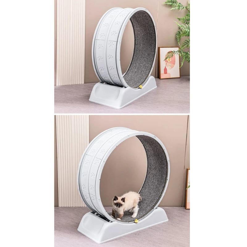 TechnuPet Cat Toys Cat Treadmill