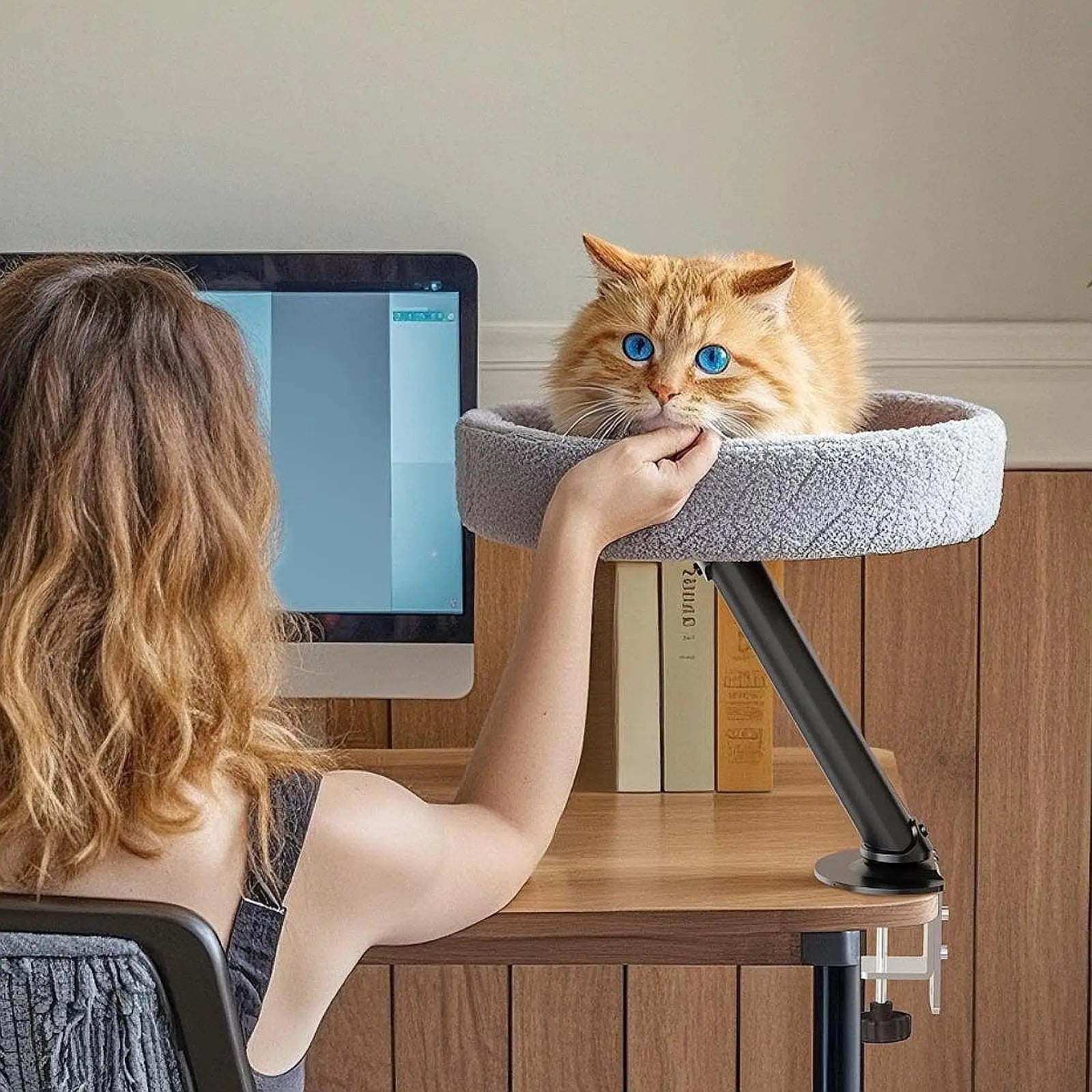 TechnuPet Cat Hammock Desk Cat Hammock Bed