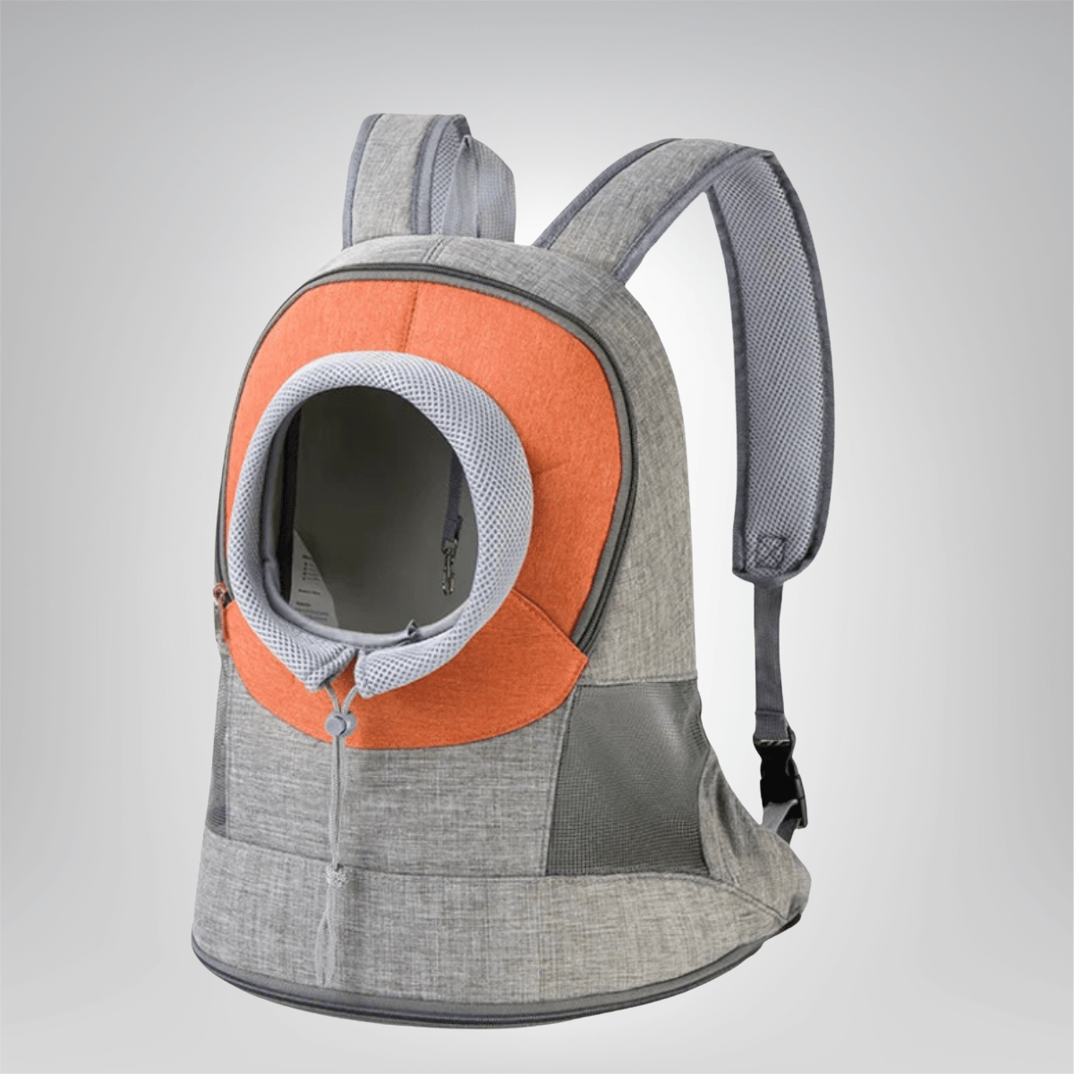 Small Dog Backpack