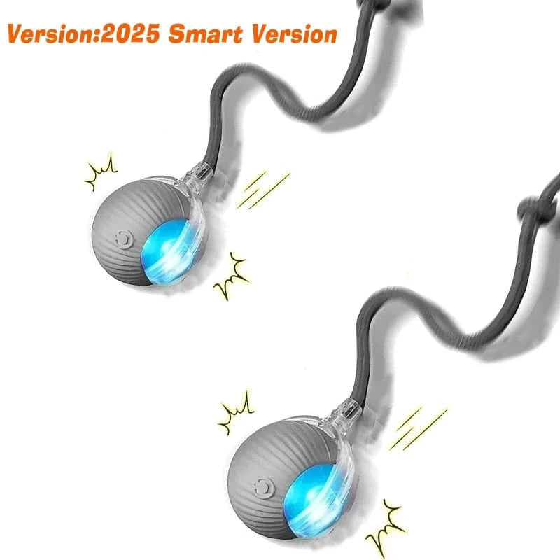Smart Jumping Ball-Dog Toys