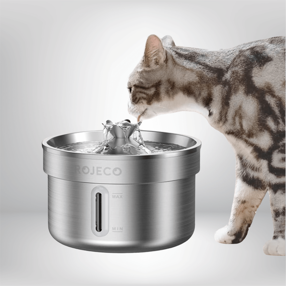 Stainless Steel Pet Drinking Automatic Water Fountain