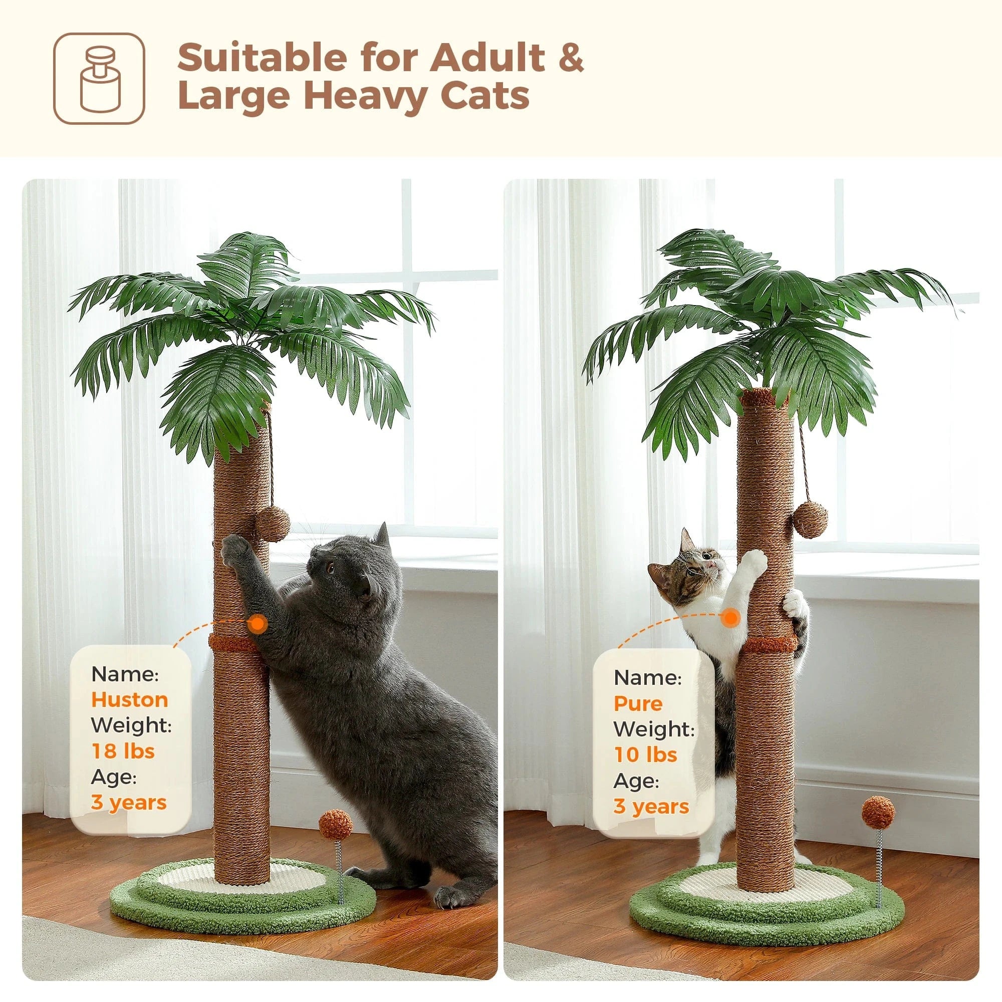 TechnuPet Cat Scratching Post Tall Cat Scratching Post with Spring Ball