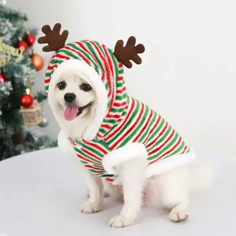 TechnuPet Dog Christmas Outfit Stripe / XS（old） Warm Christmas Hoodie for Dogs