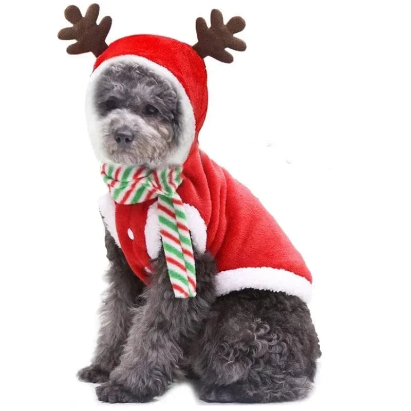 TechnuPet Dog Christmas Outfit Scarf / S Warm Christmas Hoodie for Dogs