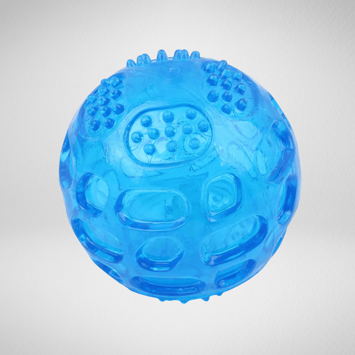 TechnuPet Dog Toys Blue Waterproof Squeaky Dog Ball